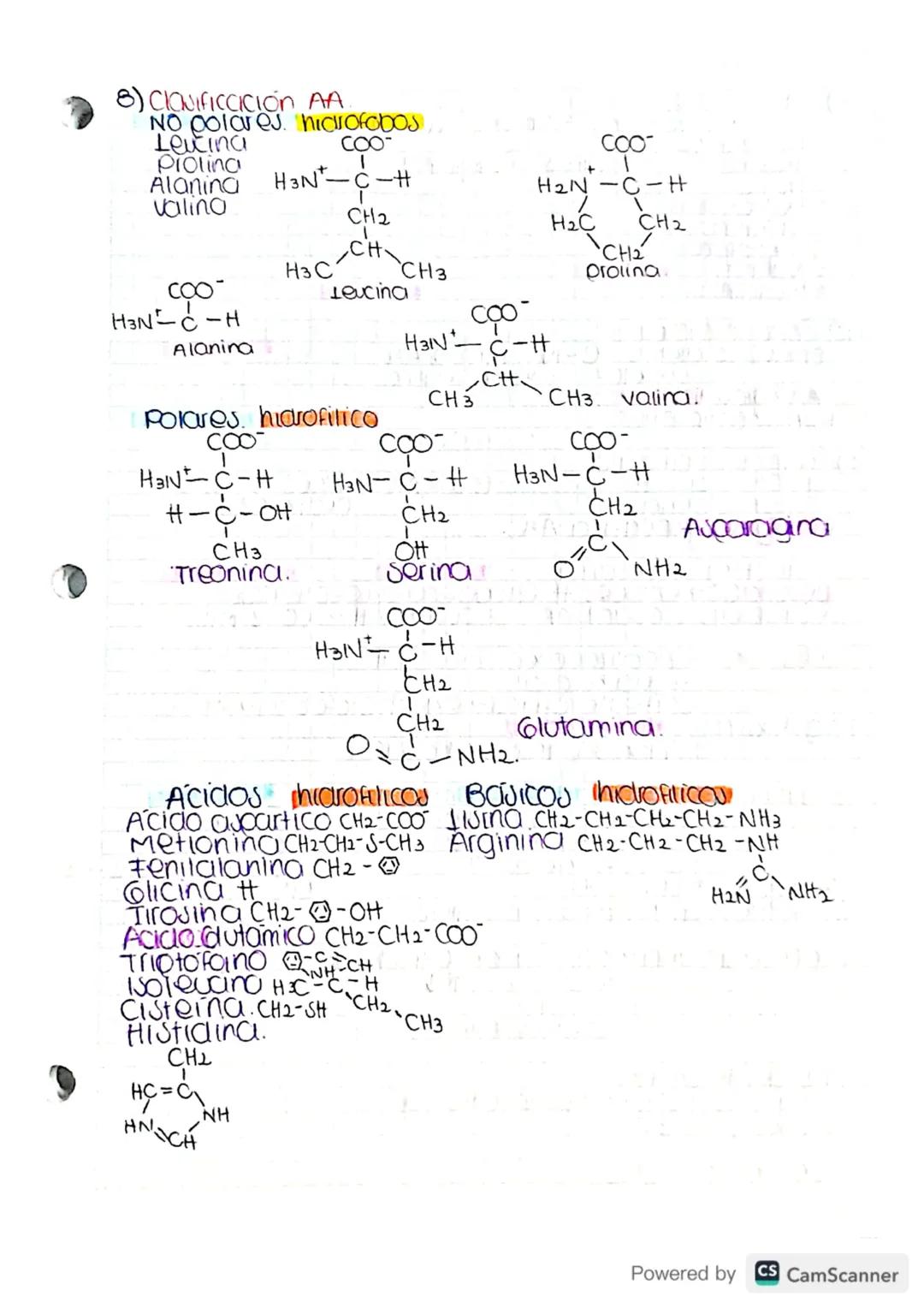 Metabolismo-destruer cara construir.
bacena -
Archora-
Eucarya.- humanos. » Reinos.
Julema
Cibierto.
Intercambio
Matena &
Energia
Homeoutaul
