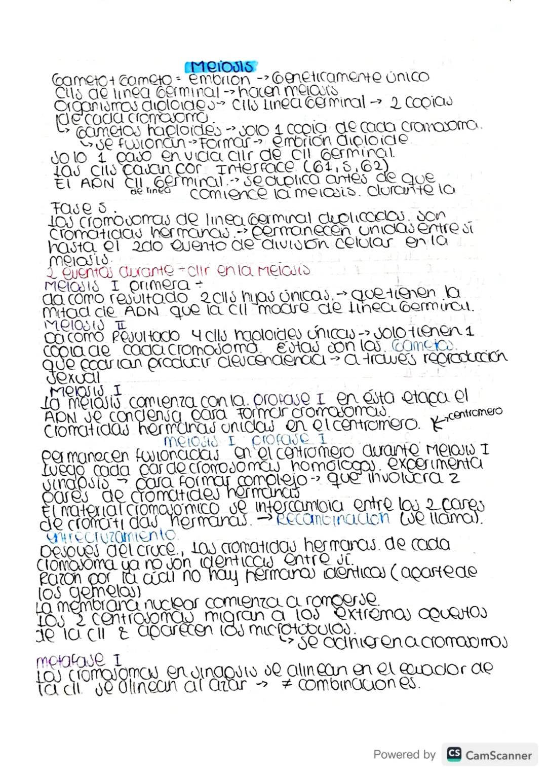 Metabolismo-destruer cara construir.
bacena -
Archora-
Eucarya.- humanos. » Reinos.
Julema
Cibierto.
Intercambio
Matena &
Energia
Homeoutaul
