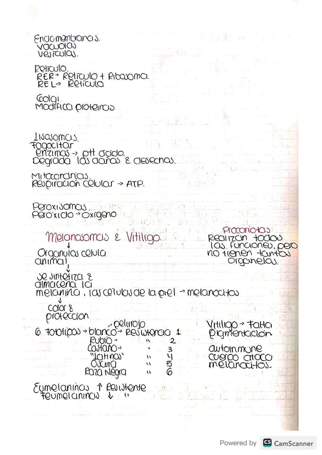 Metabolismo-destruer cara construir.
bacena -
Archora-
Eucarya.- humanos. » Reinos.
Julema
Cibierto.
Intercambio
Matena &
Energia
Homeoutaul