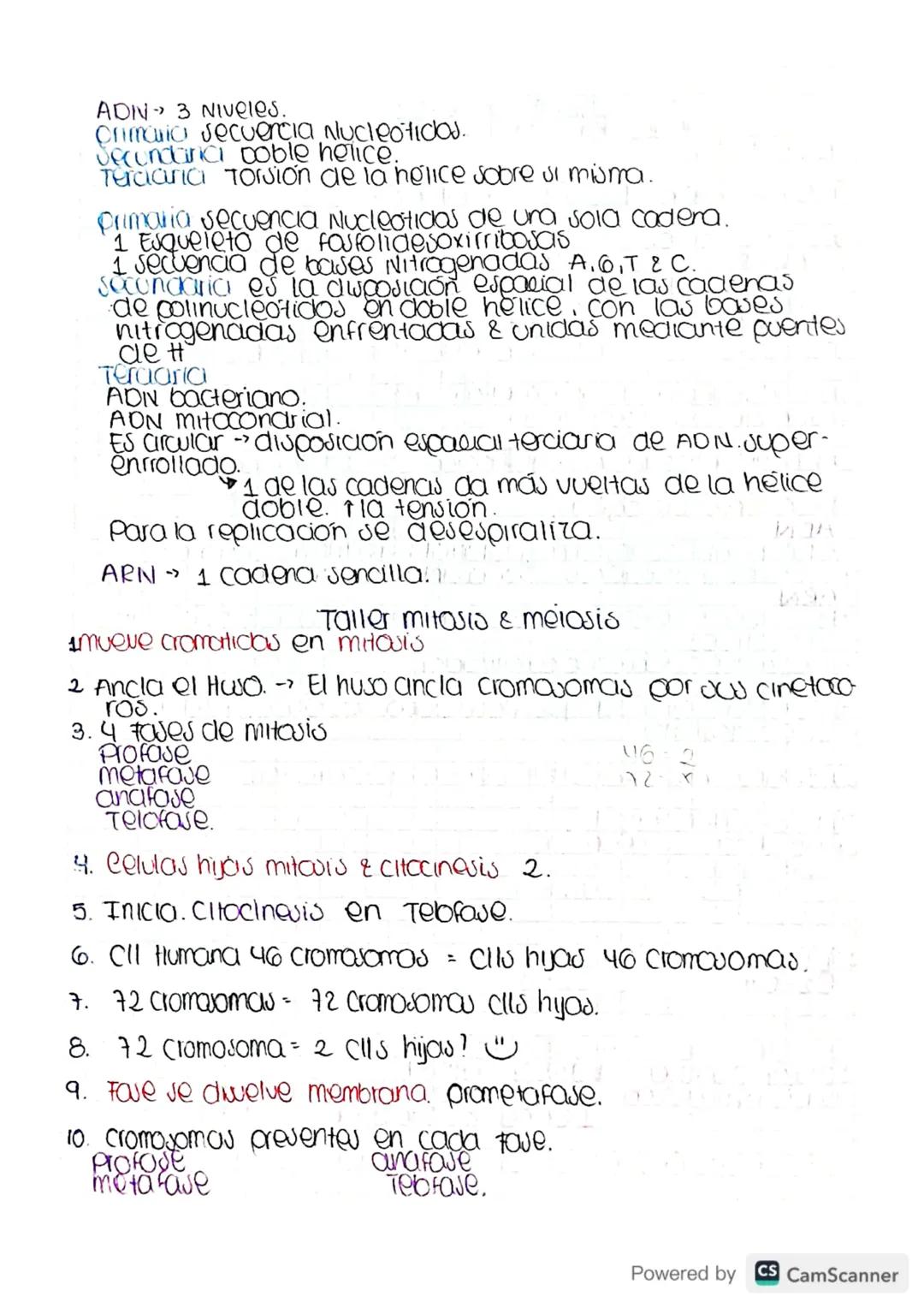 Metabolismo-destruer cara construir.
bacena -
Archora-
Eucarya.- humanos. » Reinos.
Julema
Cibierto.
Intercambio
Matena &
Energia
Homeoutaul