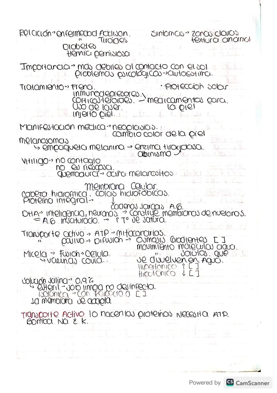 Metabolismo-destruer cara construir.
bacena -
Archora-
Eucarya.- humanos. » Reinos.
Julema
Cibierto.
Intercambio
Matena &
Energia
Homeoutaul