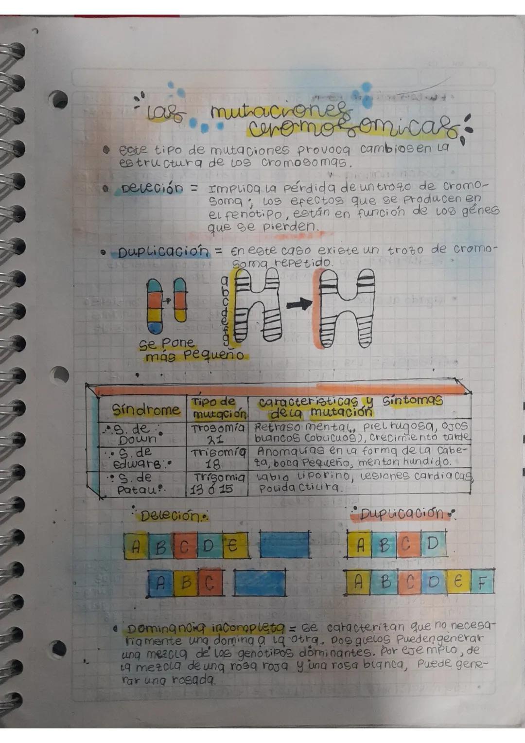 Introduccion a Mutaciones Cromosomicas