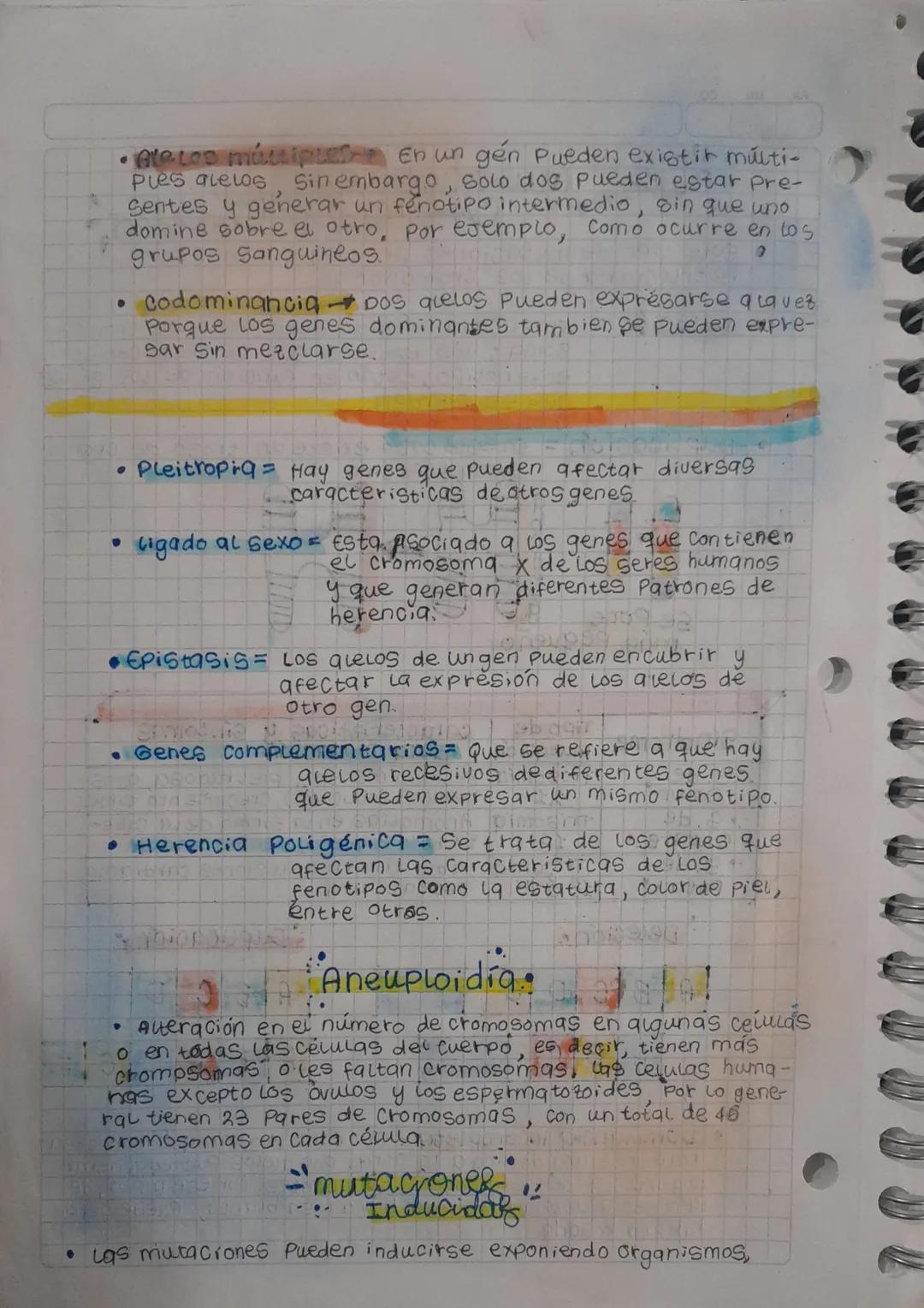 Las mutaciones
cromosomicas:
• Este tipo de mutaciones provoca cambios en La
estructura de los cromosomas.
• Deleción = Implica la pérdida d