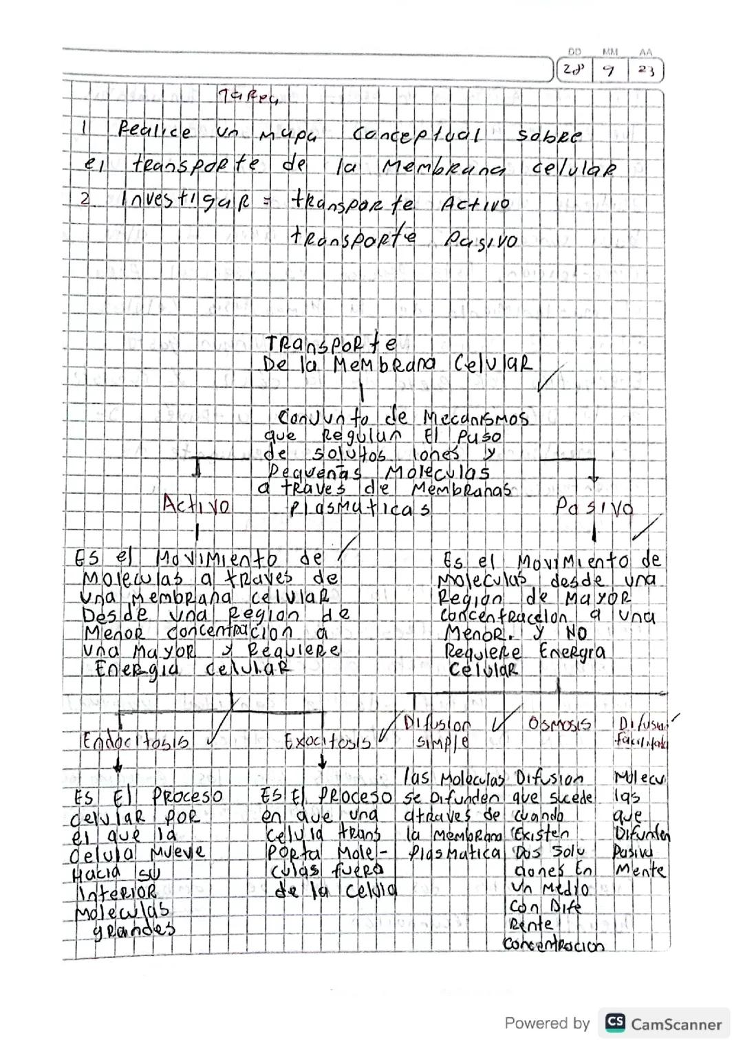 Transporte Activo Y Pasivo