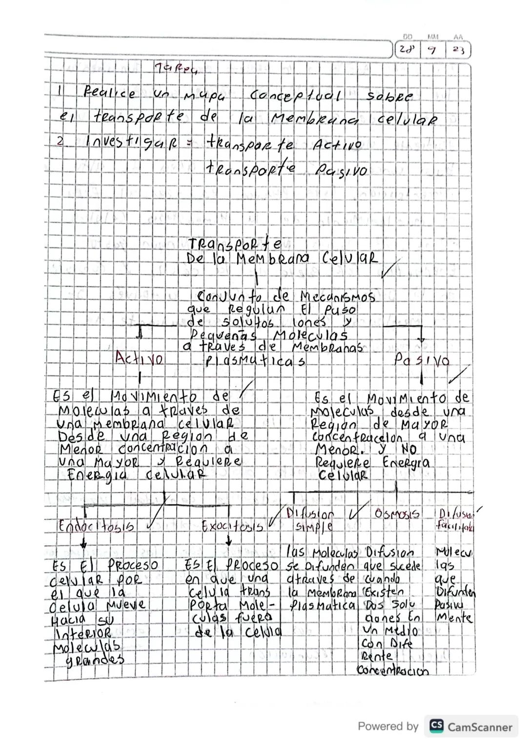DD
MM AA
28 9 23
5
Realice
Takey
мари
el transporte de
2
InvestigaR =
Conceptual
Sobre
la Membrana celular
transparte Activo
transporte pasi