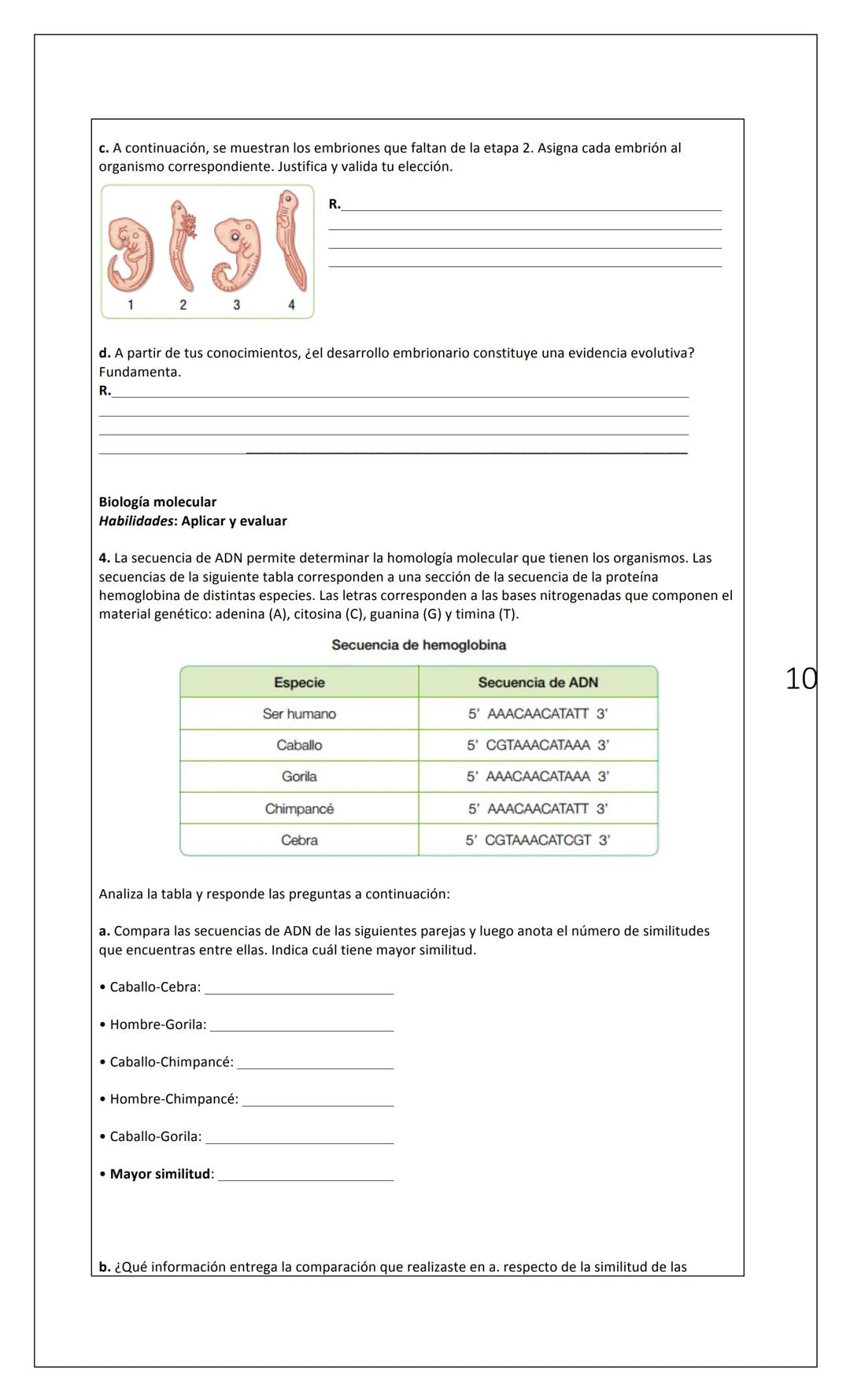 Los artiodáctilos se componen de grupos de camélidos, cerdos, carneros, ballenas e hipopótamos, y se
creía que todos compartían un ancestro