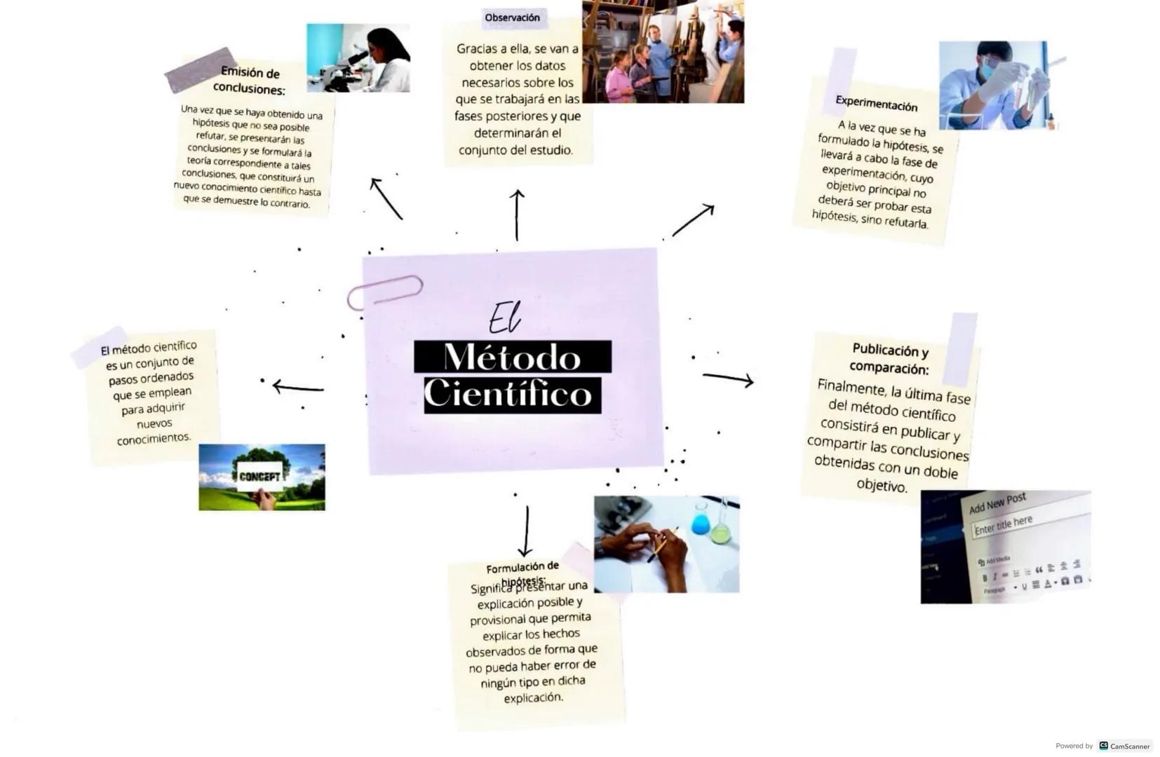 Emisión de
conclusiones:
Una vez que se haya obtenido una
hipótesis que no sea posible
refutar, se presentarán las
conclusiones y se formula