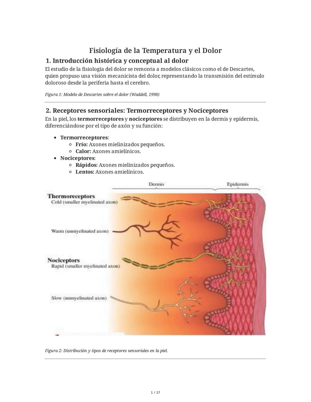 Fisiología de la Temperatura y el Dolor
1. Introducción histórica y conceptual al dolor
El estudio de la fisiología del dolor se remonta a m