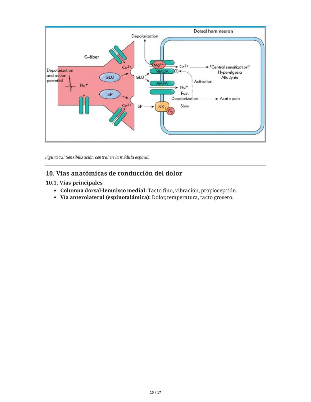 Fisiología de la Temperatura y el Dolor
1. Introducción histórica y conceptual al dolor
El estudio de la fisiología del dolor se remonta a m