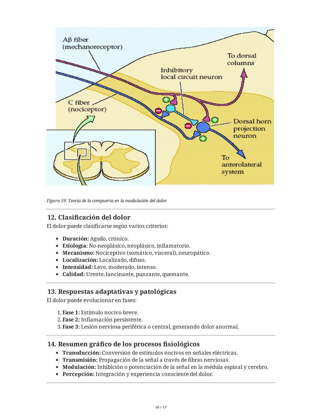 Fisiología de la Temperatura y el Dolor
1. Introducción histórica y conceptual al dolor
El estudio de la fisiología del dolor se remonta a m