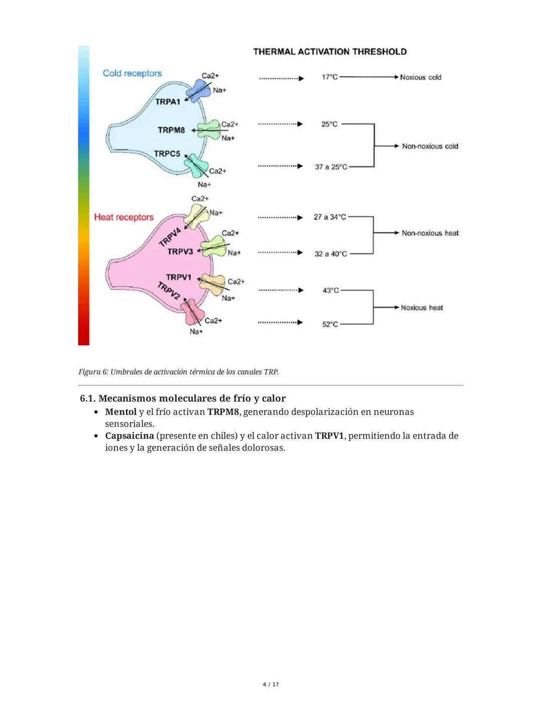 Fisiología de la Temperatura y el Dolor
1. Introducción histórica y conceptual al dolor
El estudio de la fisiología del dolor se remonta a m