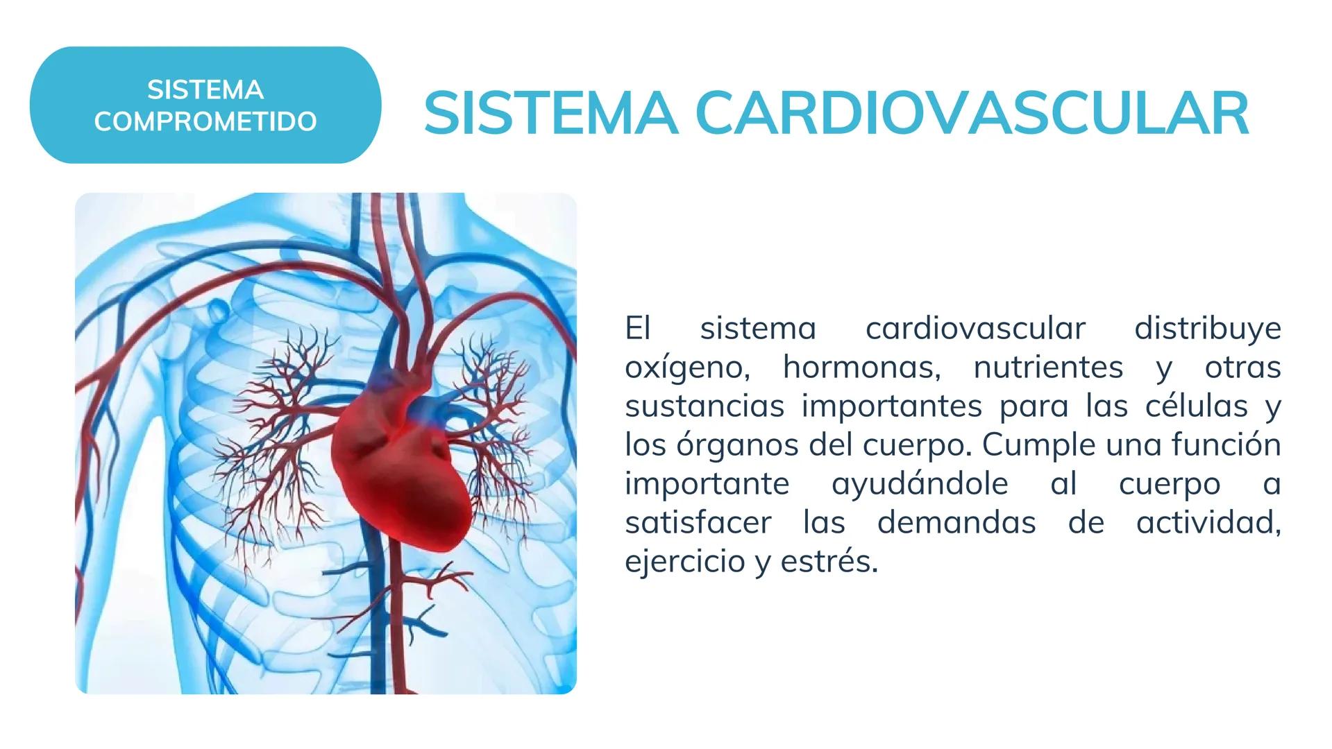# Ejemplo de sustentación de caso clínico
# Hipercolesterolemia
Enfermería SISTEMA
COMPROMETIDO
SISTEMA CARDIOVASCULAR
El sistema cardiova