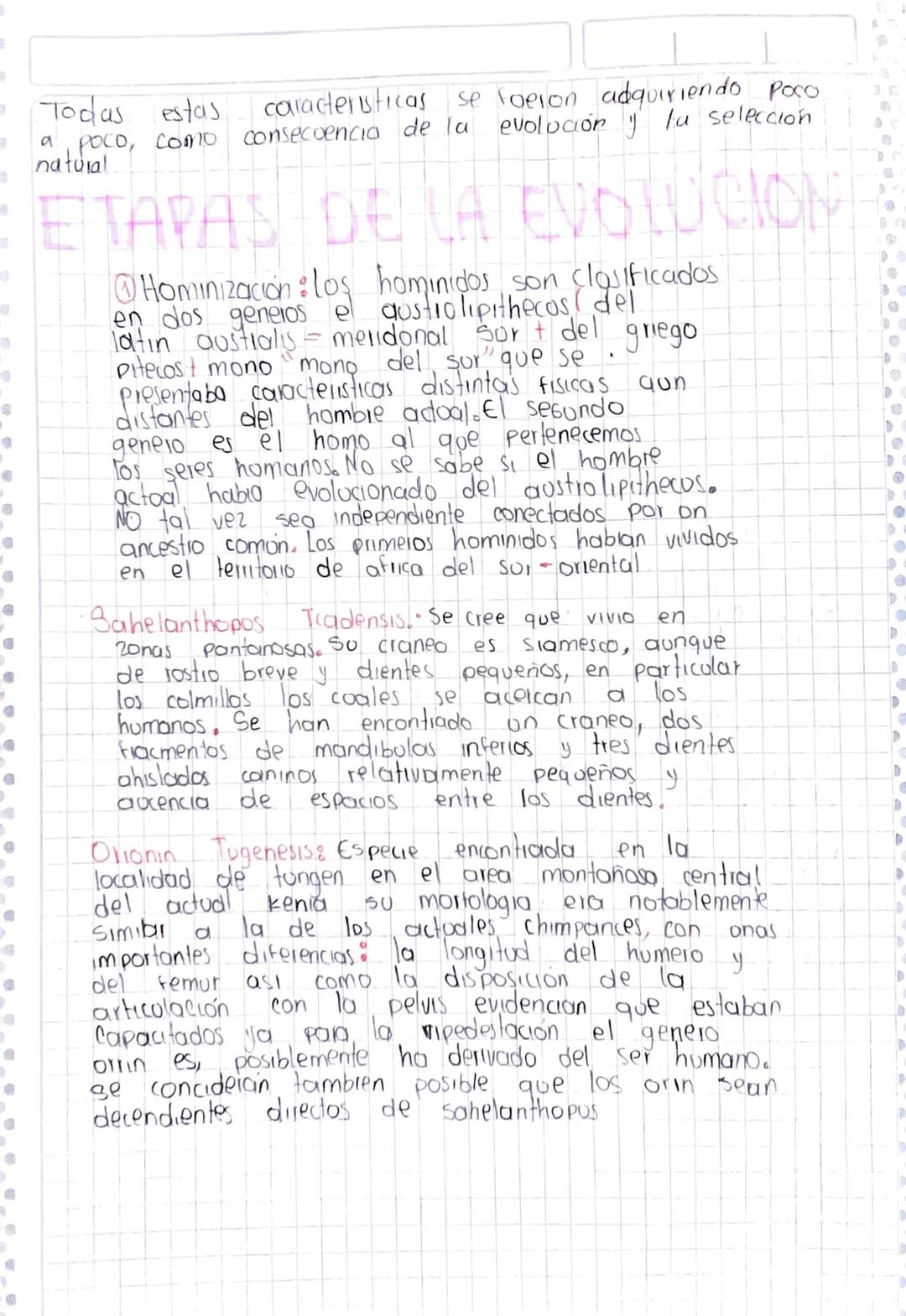 Evolucion del hombre.
De modo general, podemos decir que existe on
Hronco comun entle ntie los Grandes monos oprimates y
los humanos. En al