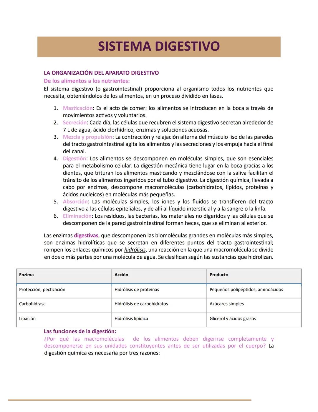 Enzima
SISTEMA DIGESTIVO
LA ORGANIZACIÓN DEL APARATO DIGESTIVO
De los alimentos a los nutrientes:
El sistema digestivo (o gastrointestinal)