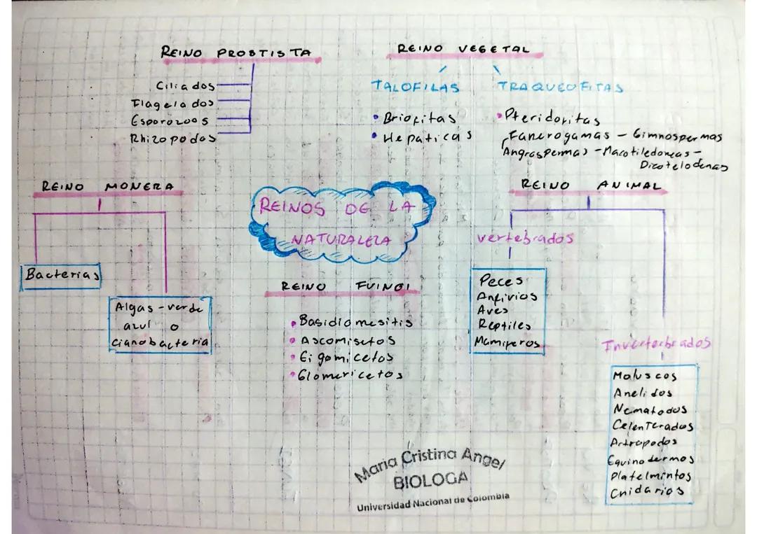 Reinos de la naturaleza