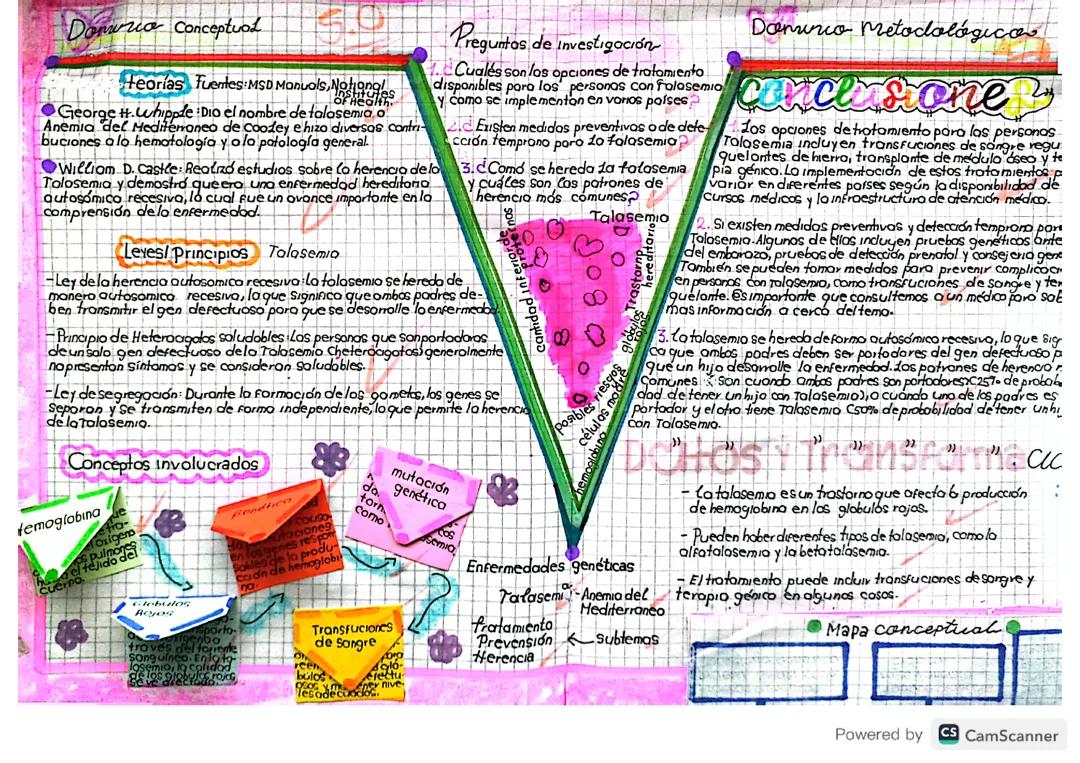 V heuristica de la talasemia