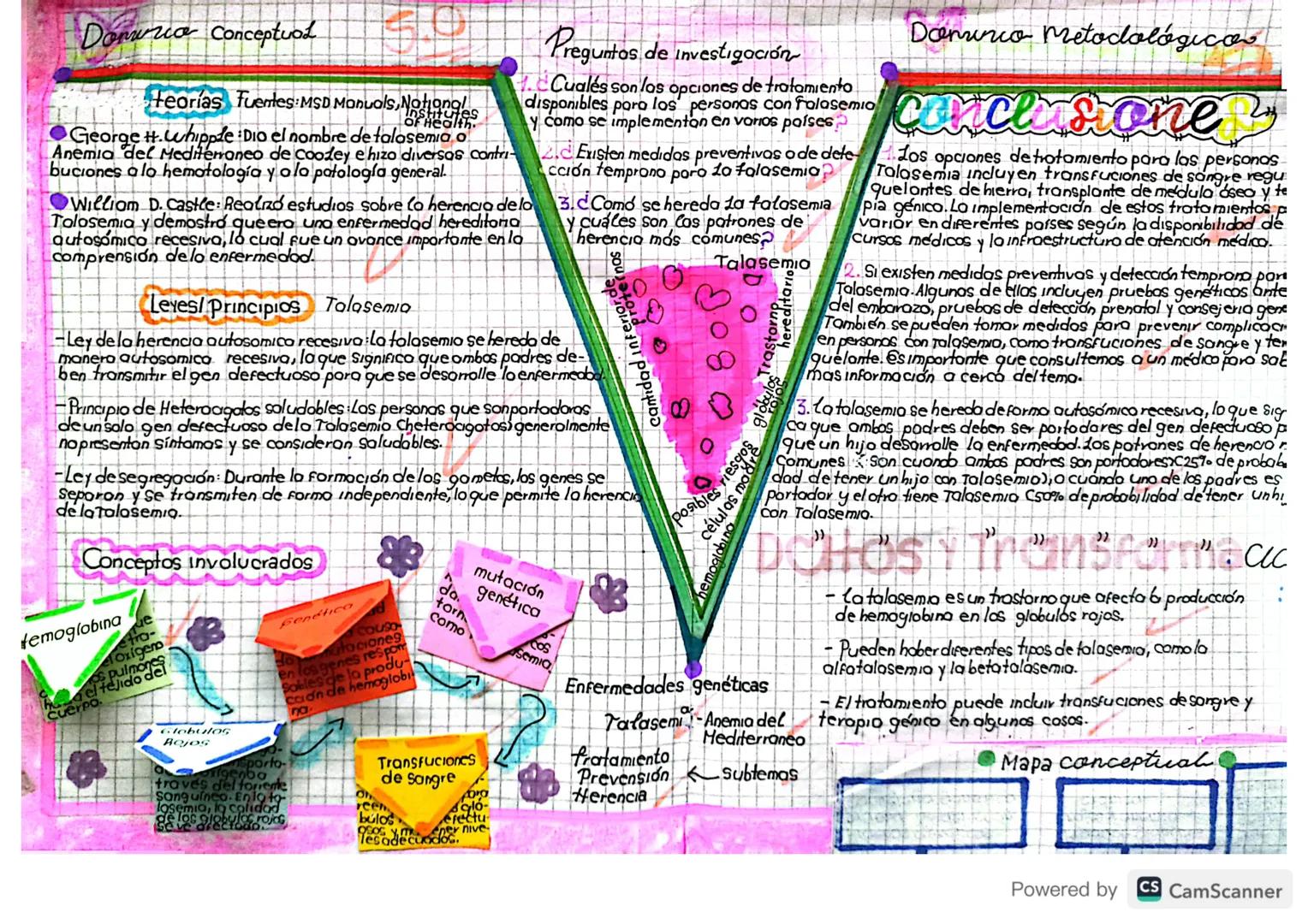 Douro Conceptuo
teorias Fuentes: MSD Manuals, National
Institutes
of Health
George H.whipple Dio el nombre de talasemia o
Anemia del Mediter