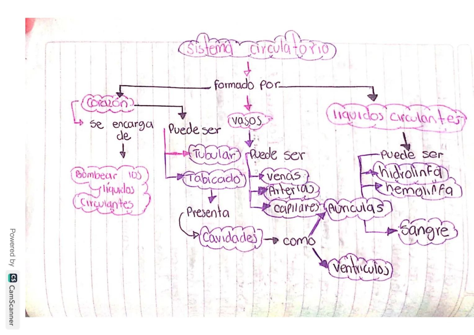 Solución
1. El chicle natural se
dbtiene de la Savia del arbol
de chicle, que es originariamus
de América Central, para poder
Sacar se hace