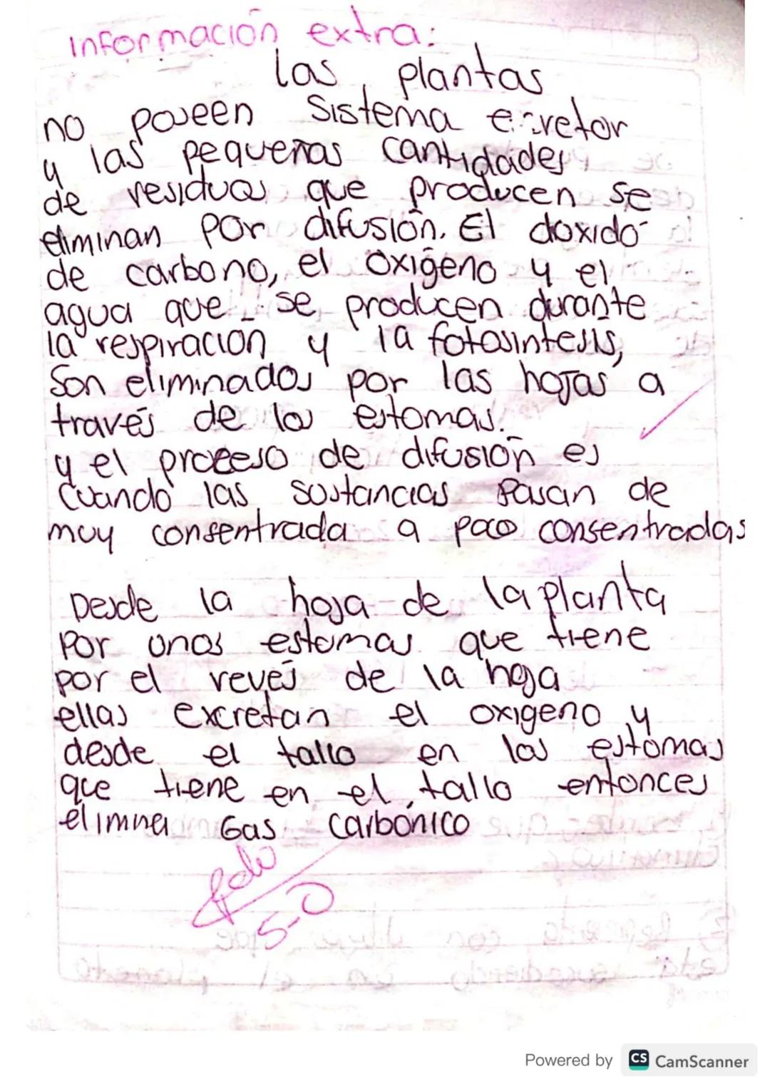 Solución
1. El chicle natural se
dbtiene de la Savia del arbol
de chicle, que es originariamus
de América Central, para poder
Sacar se hace