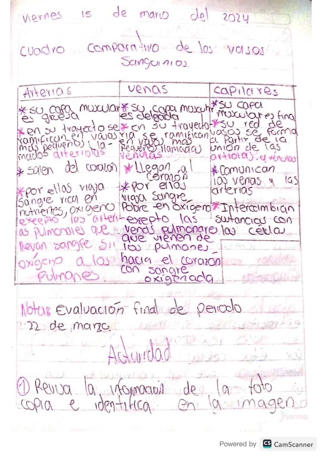 Solución
1. El chicle natural se
dbtiene de la Savia del arbol
de chicle, que es originariamus
de América Central, para poder
Sacar se hace