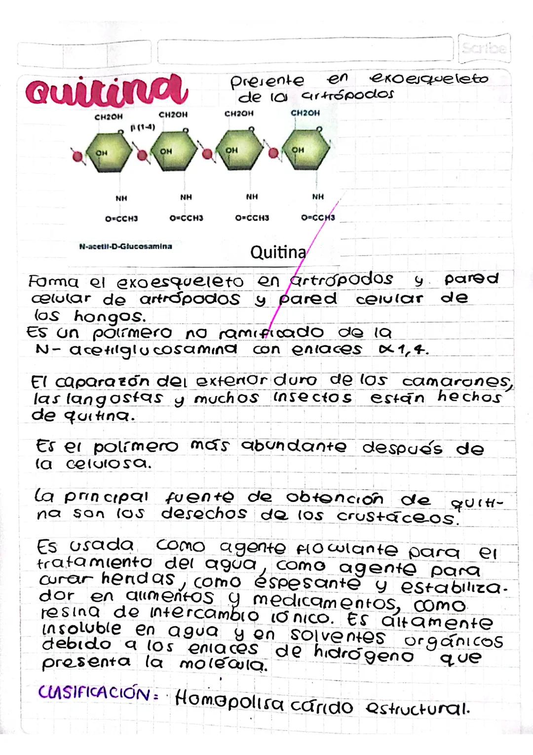 Apuntes sobre la quitina