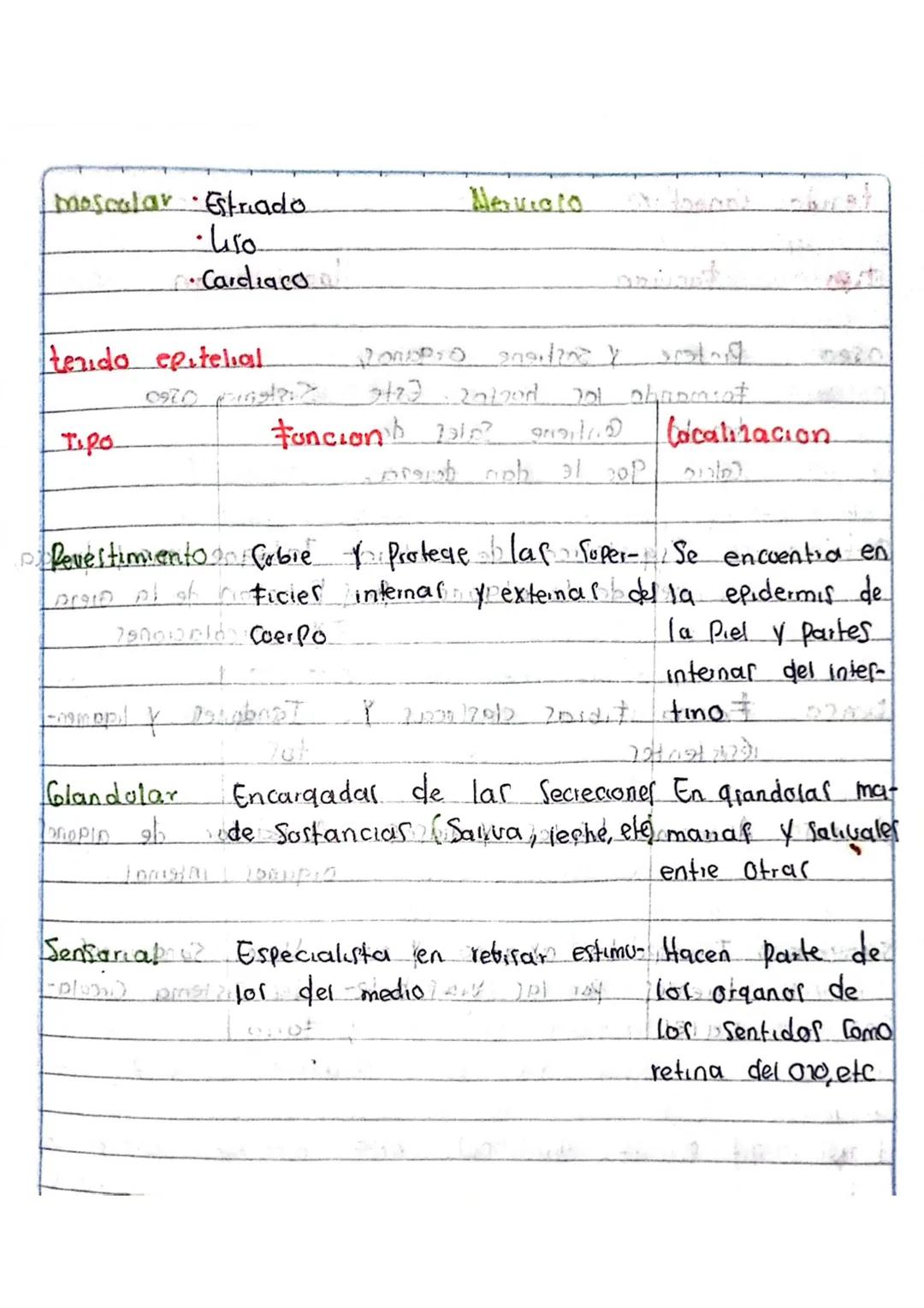 # tejidos
>
PA
Los tenidos animales y Vegetales, Son agropaciones de
lolas Similares en forma y estructura, que Compien U
Funcion determinad