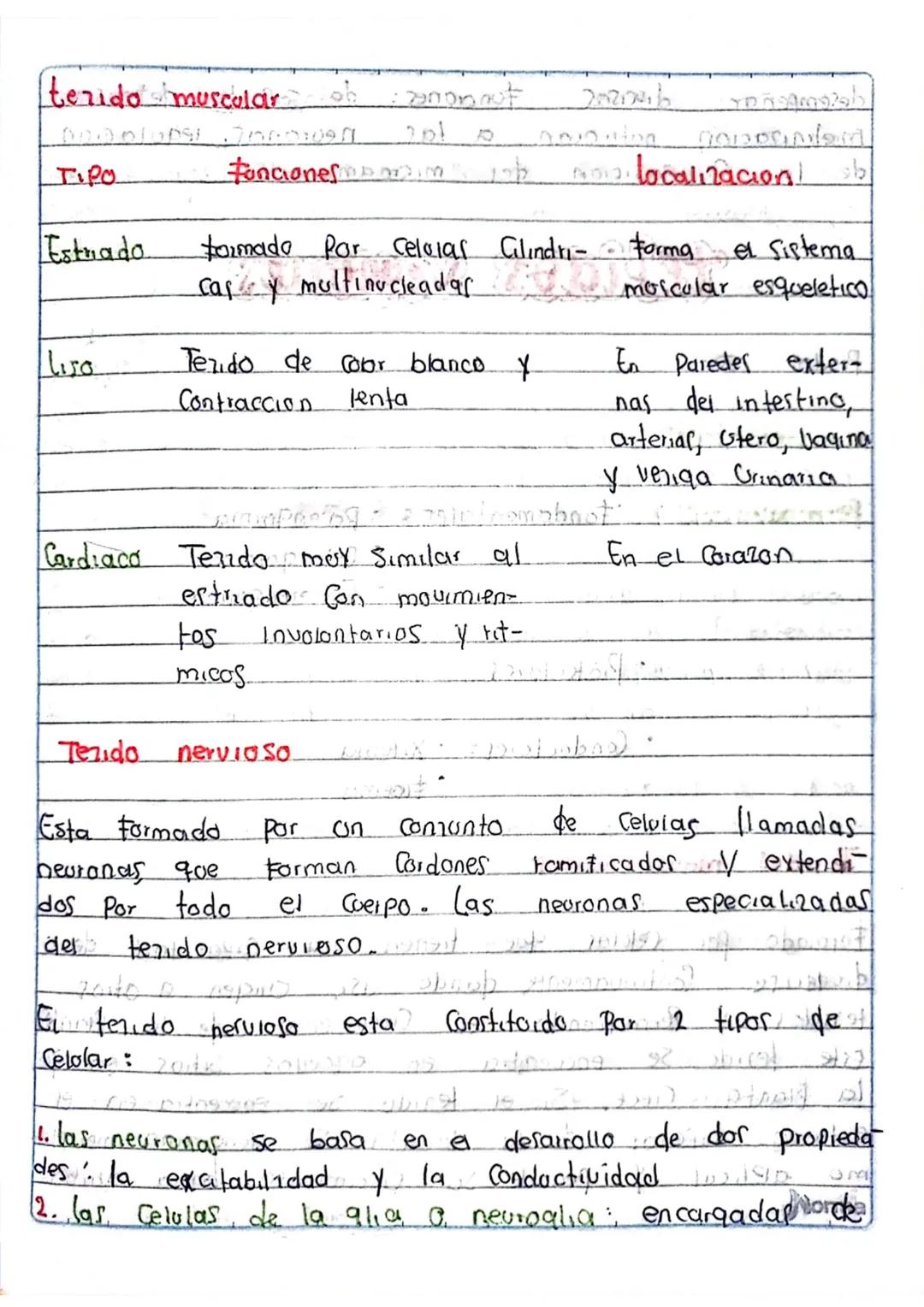 # tejidos
>
PA
Los tenidos animales y Vegetales, Son agropaciones de
lolas Similares en forma y estructura, que Compien U
Funcion determinad
