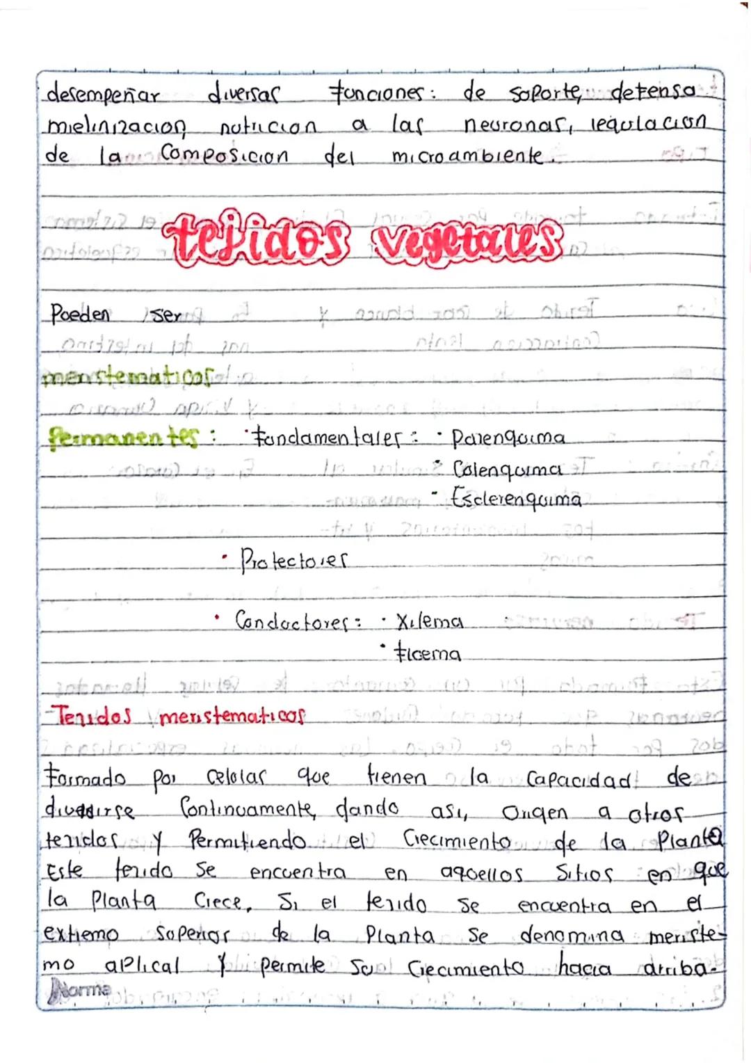 # tejidos
>
PA
Los tenidos animales y Vegetales, Son agropaciones de
lolas Similares en forma y estructura, que Compien U
Funcion determinad