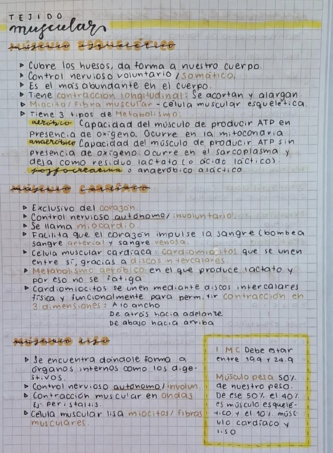 TEJIDO MUSCULAR