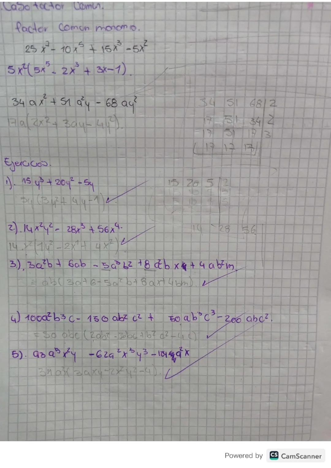 Factor común monomio