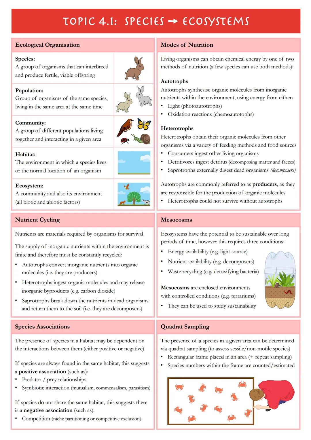 # TOPIC 4.1: SPECIES ECOSYSTEMS
## Ecological Organisation
**Species:**
A group of organisms that can interbreed
and produce fertile, viab