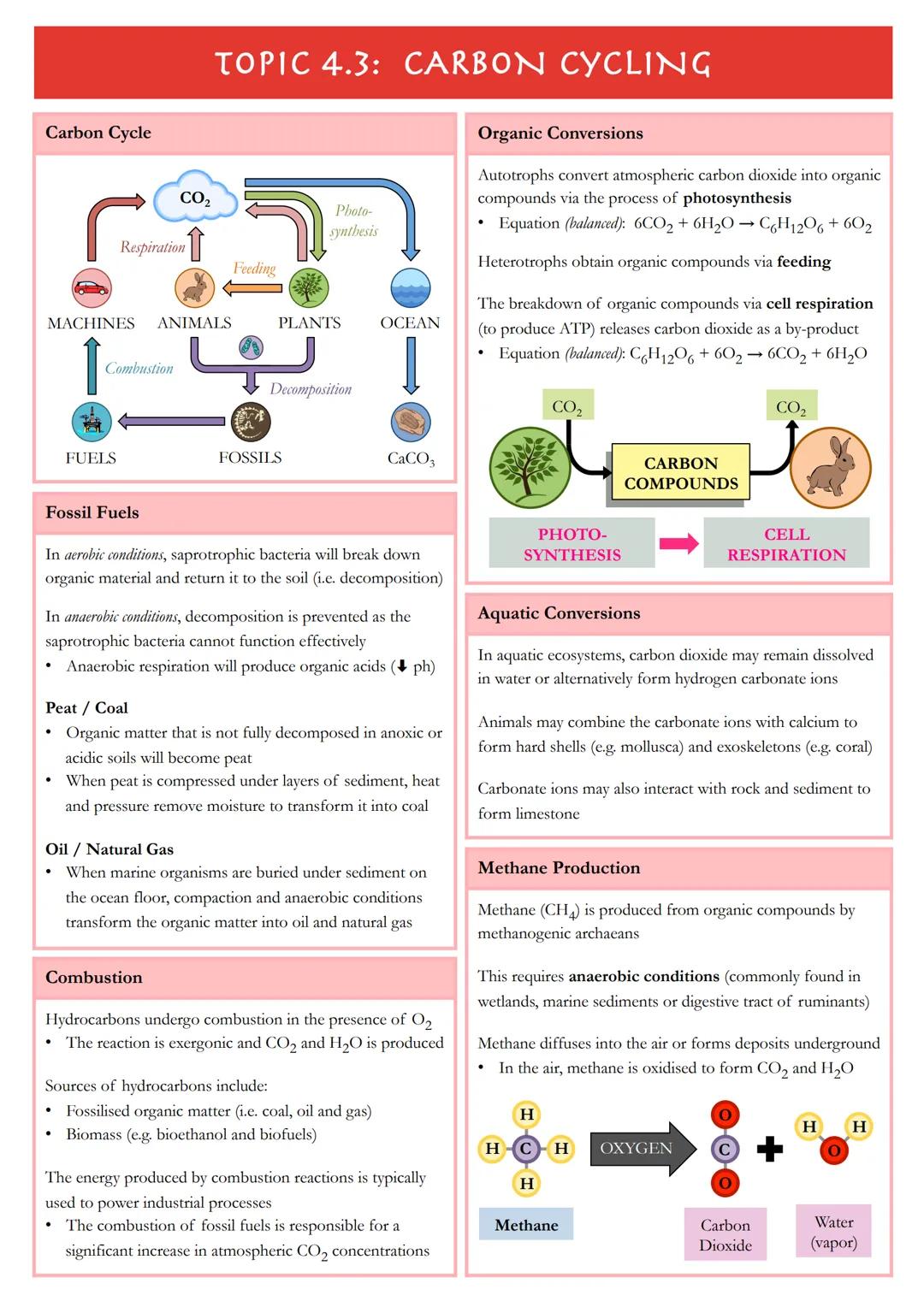 # TOPIC 4.1: SPECIES ECOSYSTEMS
## Ecological Organisation
**Species:**
A group of organisms that can interbreed
and produce fertile, viab