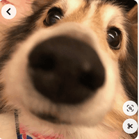 user profile picture